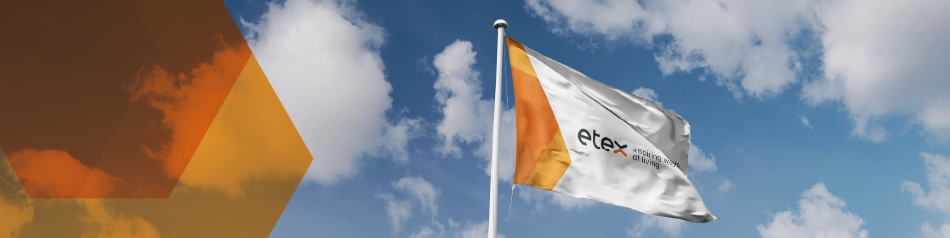 Etex: Связь коммерческих брендов с Etex. Схема из публикации компании о запуске архитектуры, июнь 2025 года.